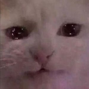 Meet your Posher, Meow meow